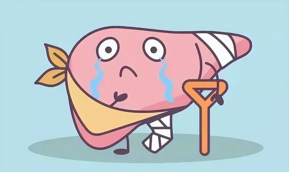 戊肝跟着雨季一起"走"来了!