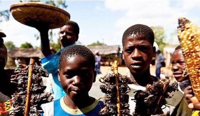 非洲布隆迪:世界上最穷的国家_民族_殖民_统治