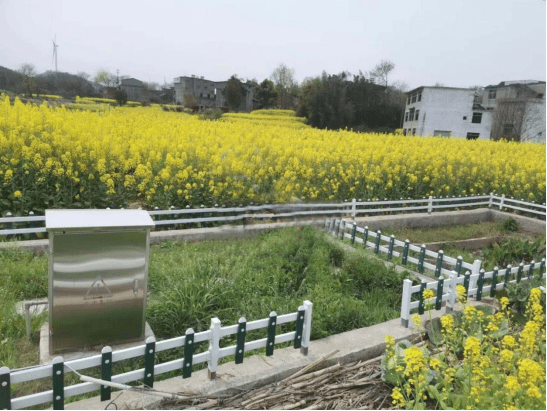 彭泽县马当镇:"四美"打造美丽乡镇_建设_集镇_整治