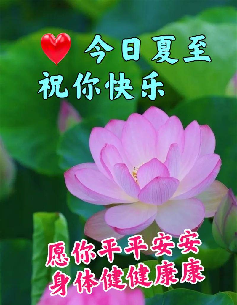 早上好问候祝福语,最新夏至快乐图片_心情_身体_夏天