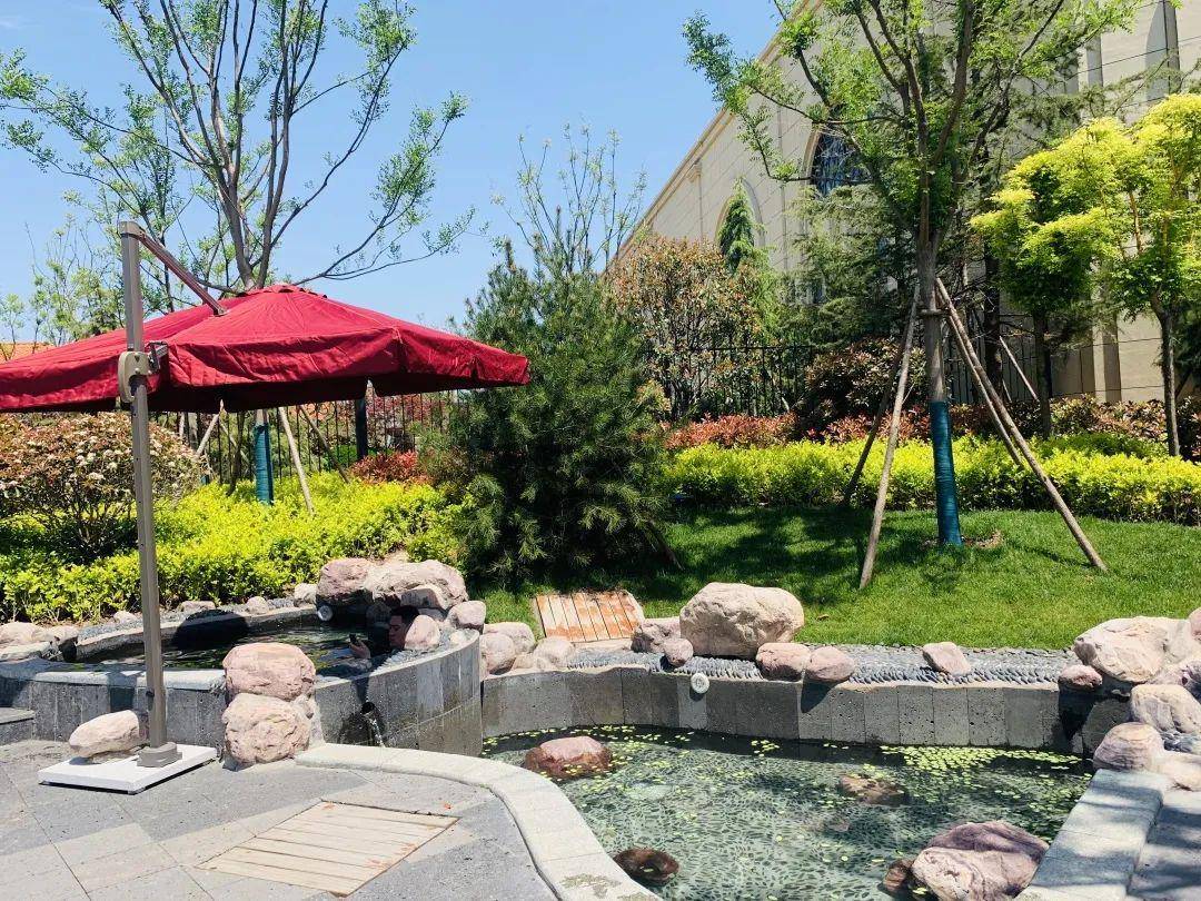 玩水遛娃避暑,到临沂鲁商知春湖温泉酒店打卡20°的夏天!