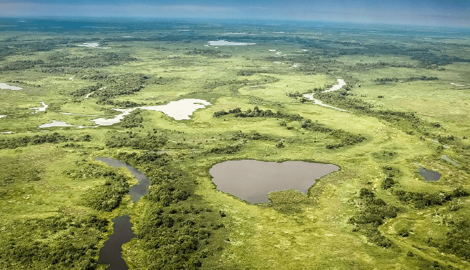 巴西潘塔纳尔湿地的生态系统功能与服务评估
