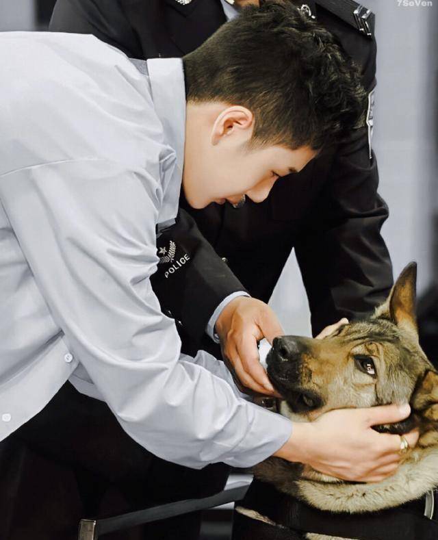 王一博化身治愈系训犬师,一句"goodboy"太魔性_狗狗_什么_事情