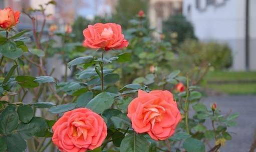 道理深刻的感悟句子,内涵深刻,让人深思_人生_时间_感情