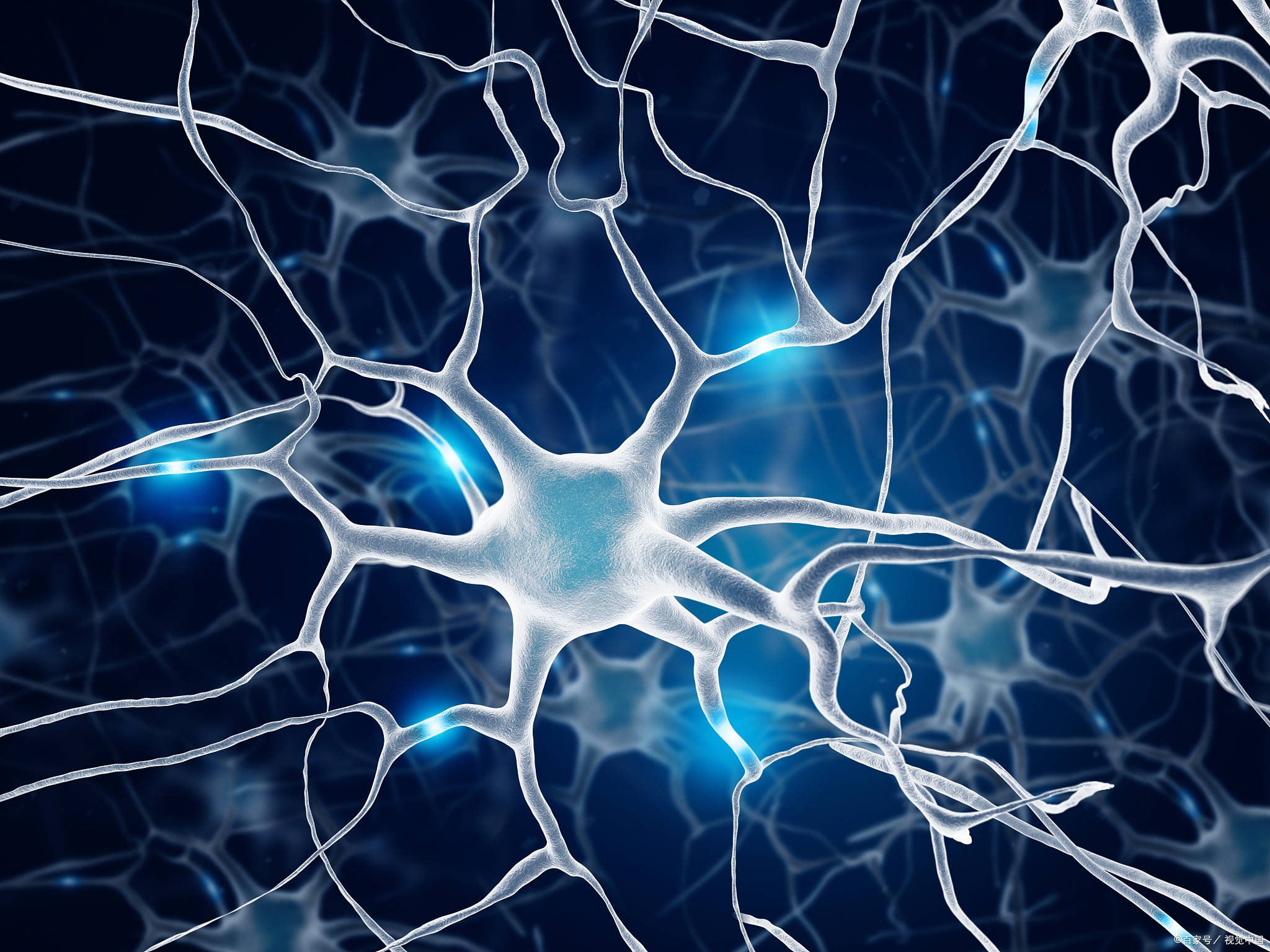 人类为何没有三岁之前的记忆_大脑_婴幼儿_神经元