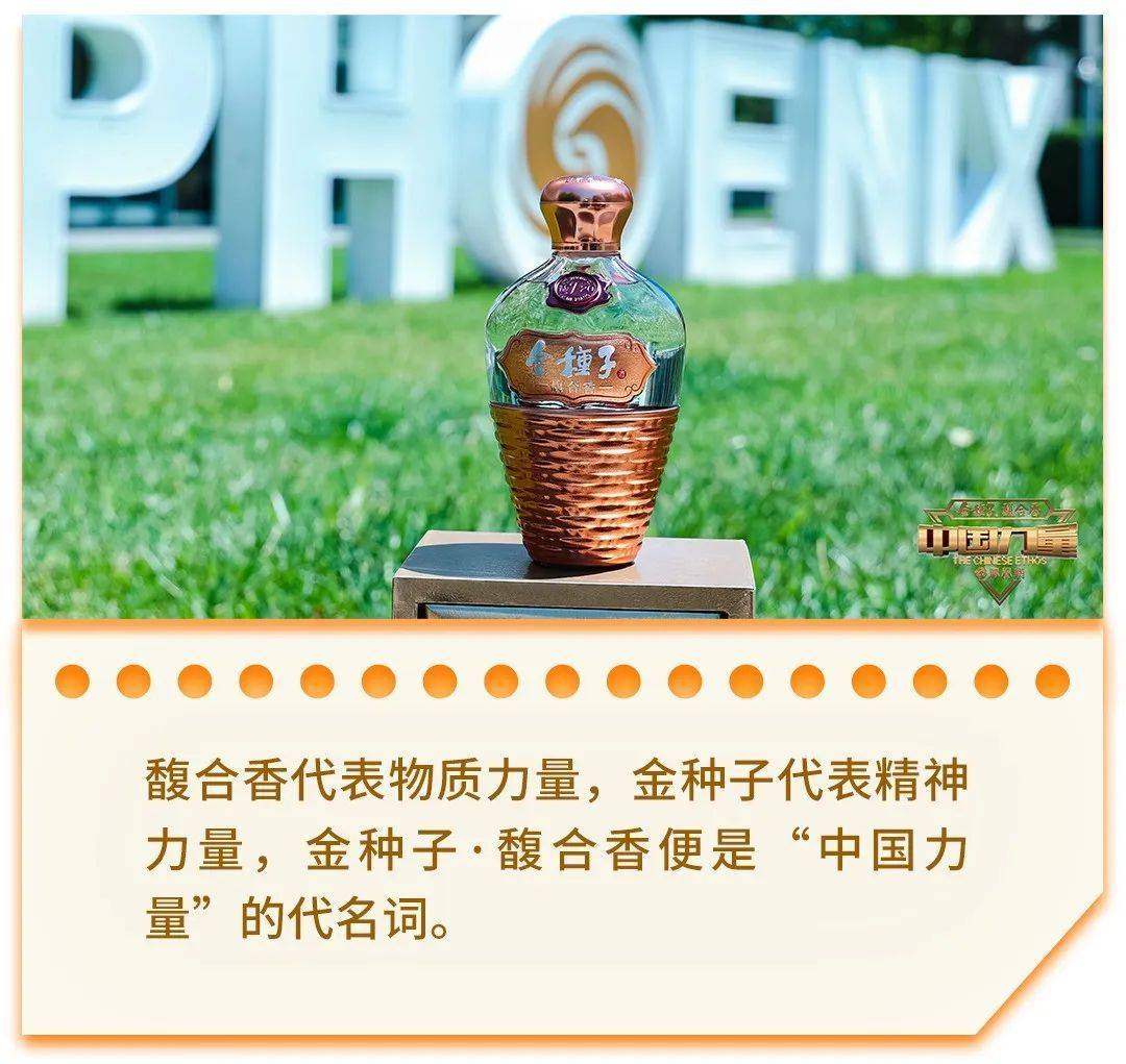 启动第三大行动，金种子凭何能代表“中国力量”？_搜狐网