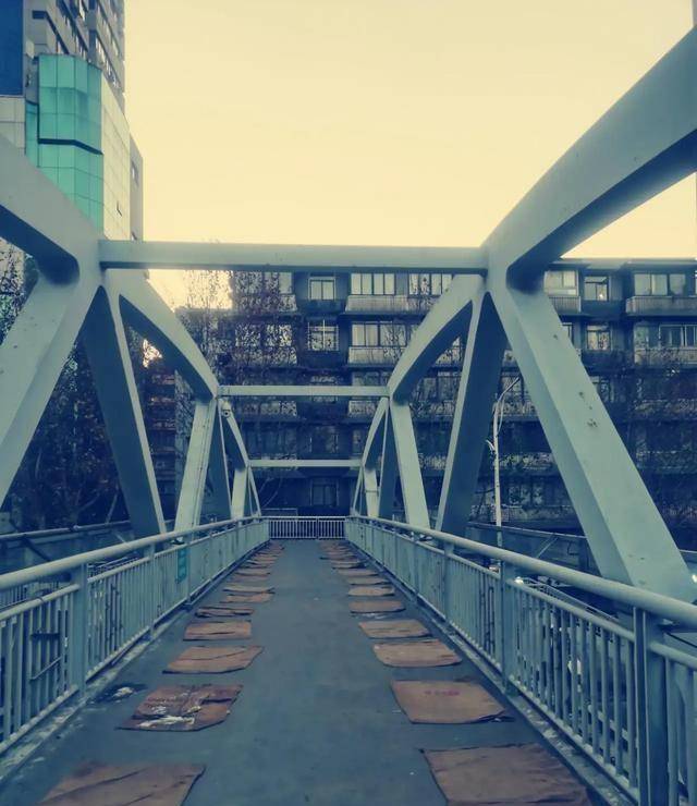 汉口永清街天桥上看车来车往,天桥下的叶子花太惊艳,我停下奔跑_武汉