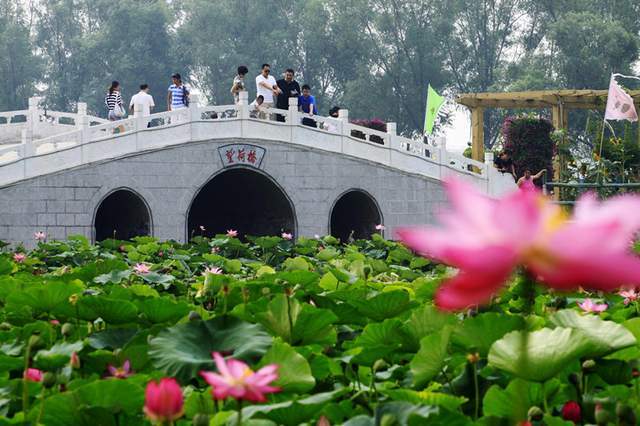 晋源区聚力打造康养文旅集聚区_旅游_文化_产品