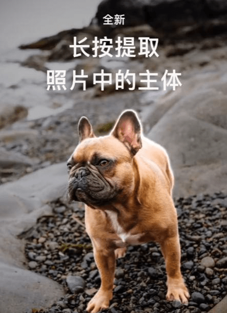 苹果手机拍一寸照片怎么拍？iphone用户必知的拍摄秘诀！-苹果手机怎样拍一寸照片