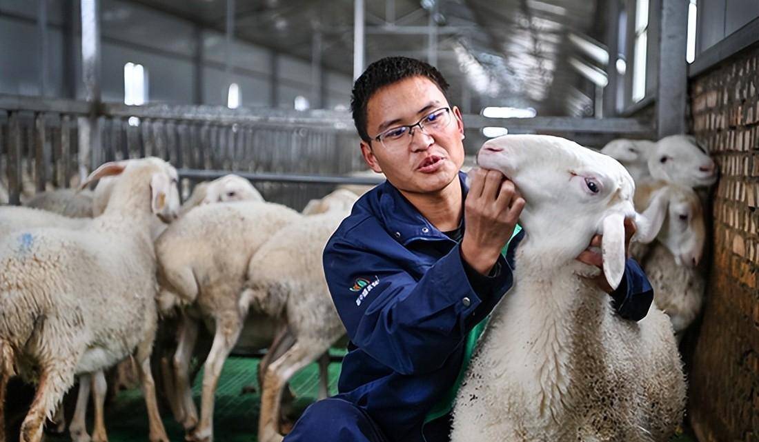 陕西小伙,放羊16年,被全村人耻笑,35岁身价百万,娶研究生媳妇_妹妹