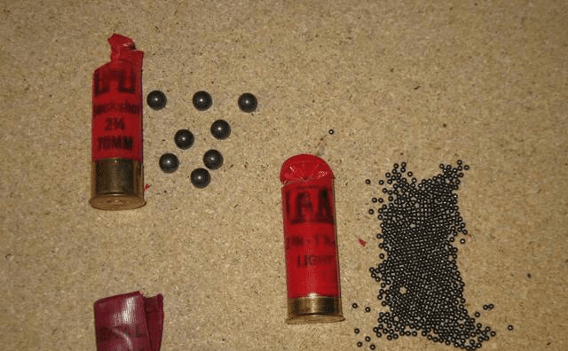 被霰弹枪打中是什么样子的?看弹丸大小_威力_鸟类_枪支