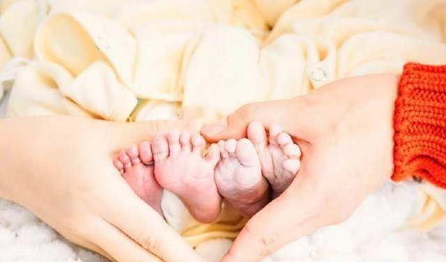 谢娜生下双胞胎女儿,张杰恶补育儿知识,这几招要学会_宝宝_公主_孩子