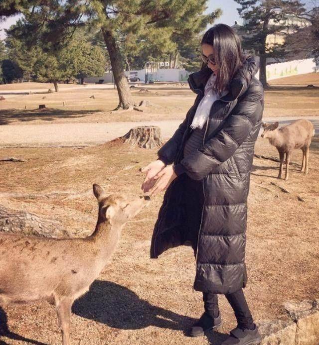 作为世界小姐张梓琳这身材无可挑剔,作为辣妈也是酷酷的!