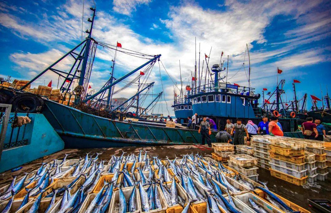 比耶伦访华更紧急!韩上百捕捞船现身东海,前后已四次满载返港_中国_非