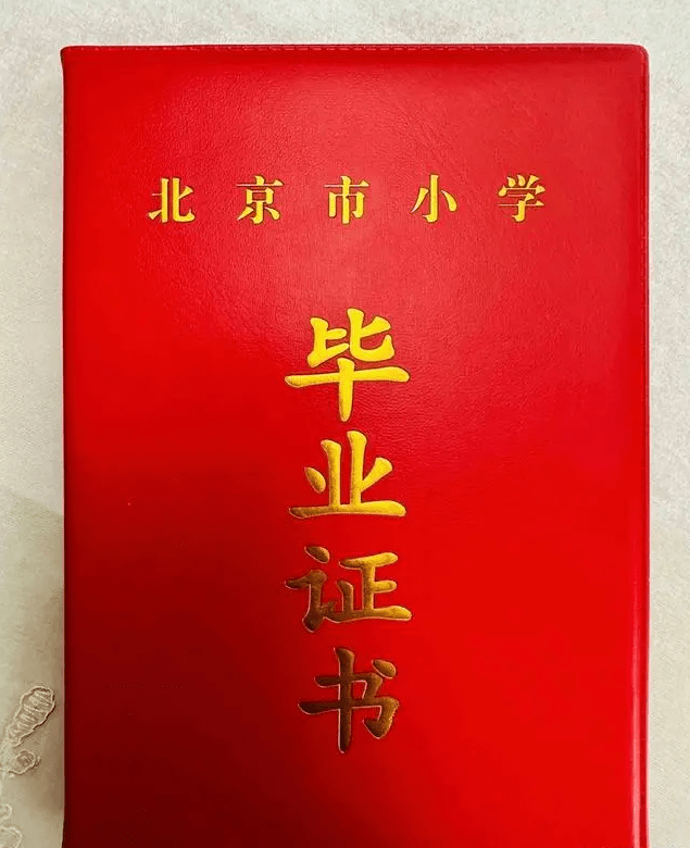 小学毕业证号图片