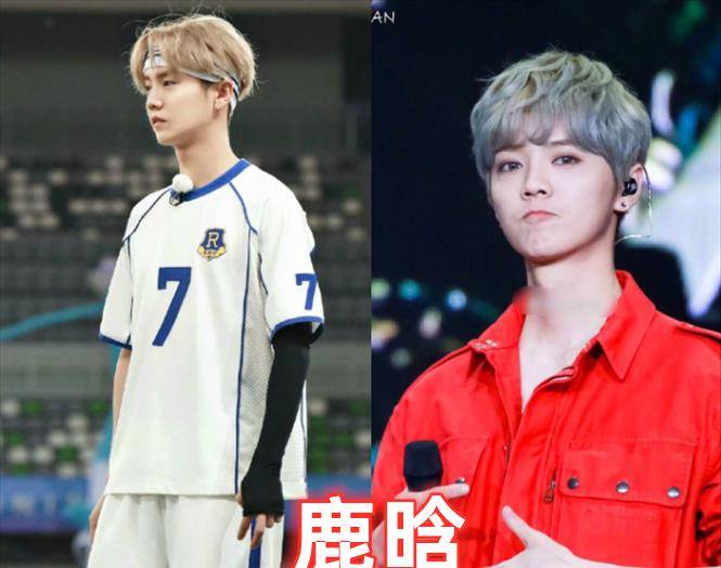 "跑男"捧红了郑恺,陈赫转型,鹿晗重新翻红,最后的她不幸离世_杨颖