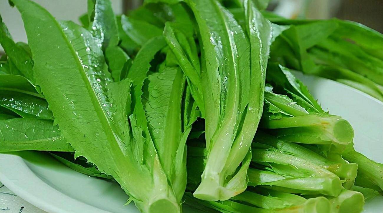 因为油麦菜和莴笋叶无论是在外观还是吃起来的口感上,都极为相似,如果