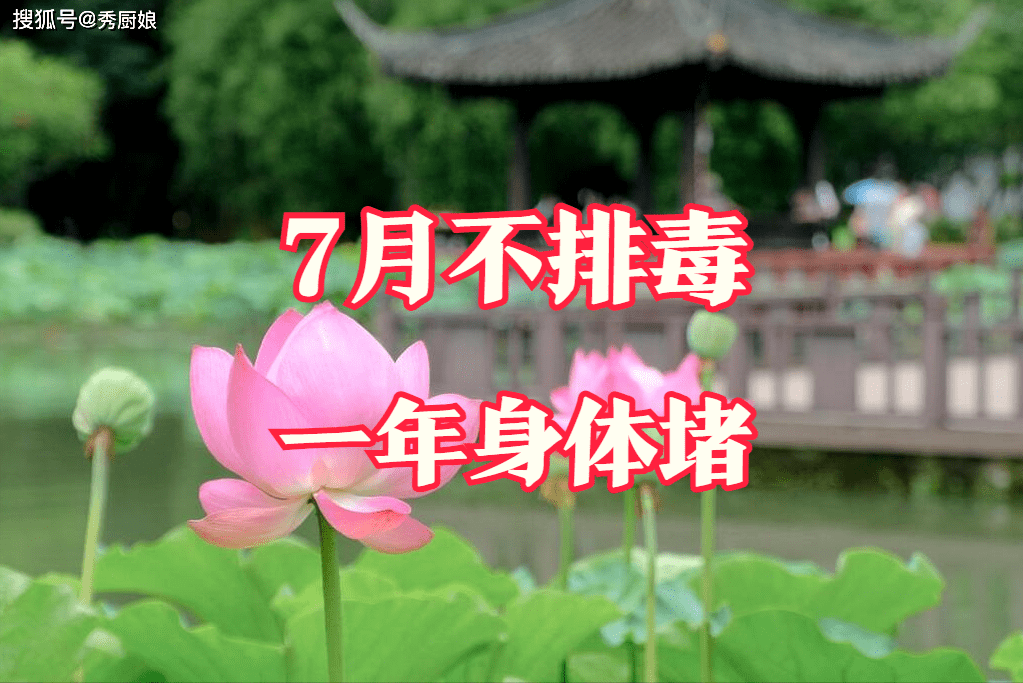 “7月不排毒，一年身体堵”，三伏天常吃5样，排毒祛湿，一身轻松