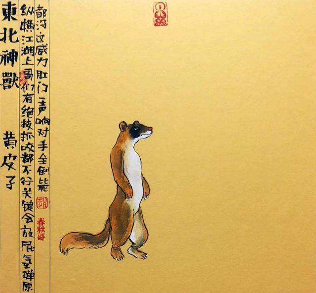 还有关于黄鼠狼讨封的说法,如果半夜在路上遇到一个站立的黄鼠狼问