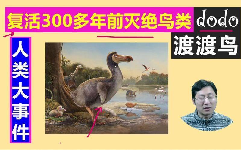 美国科学家拟复活渡渡鸟,复活灭绝动物的原理是啥?