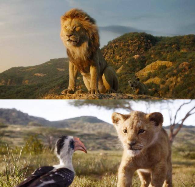 《狮子王》刀疤重出江湖,丁满彭彭继续带娃,狒狒长老成画师_国王_辛巴