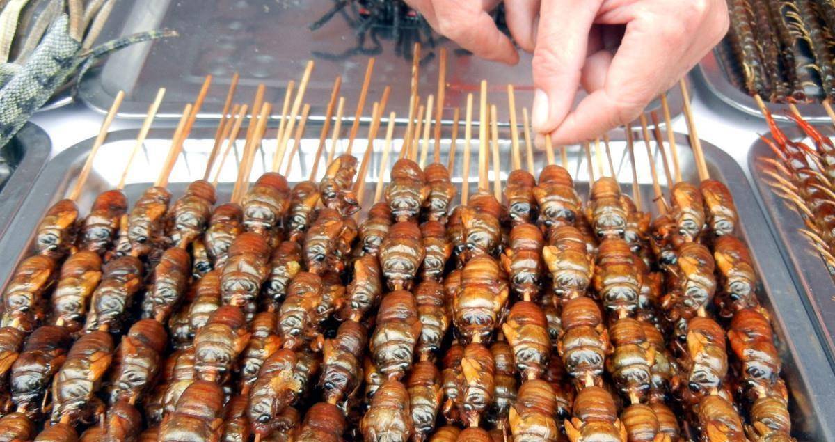 【烤知了】在锅中加热油,炸知了直至金黄酥脆.