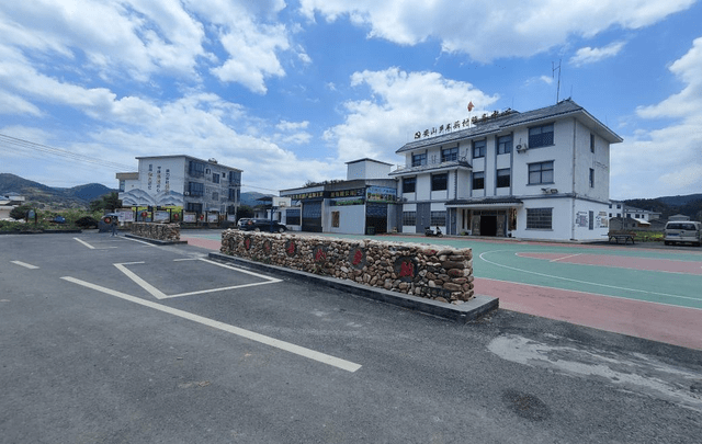 烟稻轮作,醉了车头村_美乡村_烟叶_环境