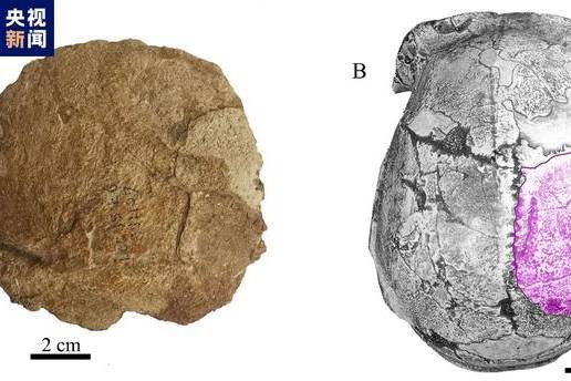 “周口店”50年来首次！北京人遗址新发现古人类顶骨化石