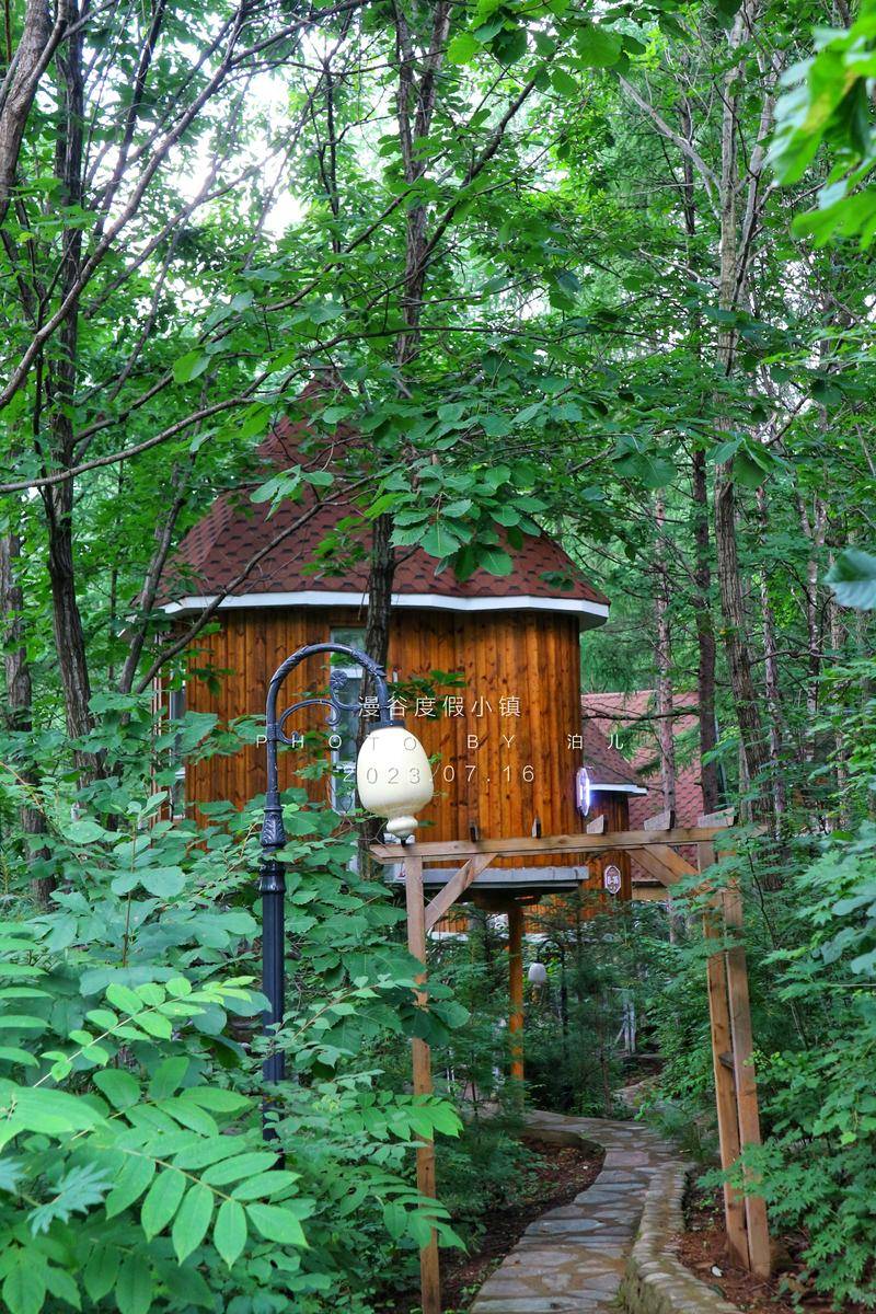 桓仁漫谷度假小镇桓仁漫谷度假小镇 森林小木屋好似爱丽丝梦境里的