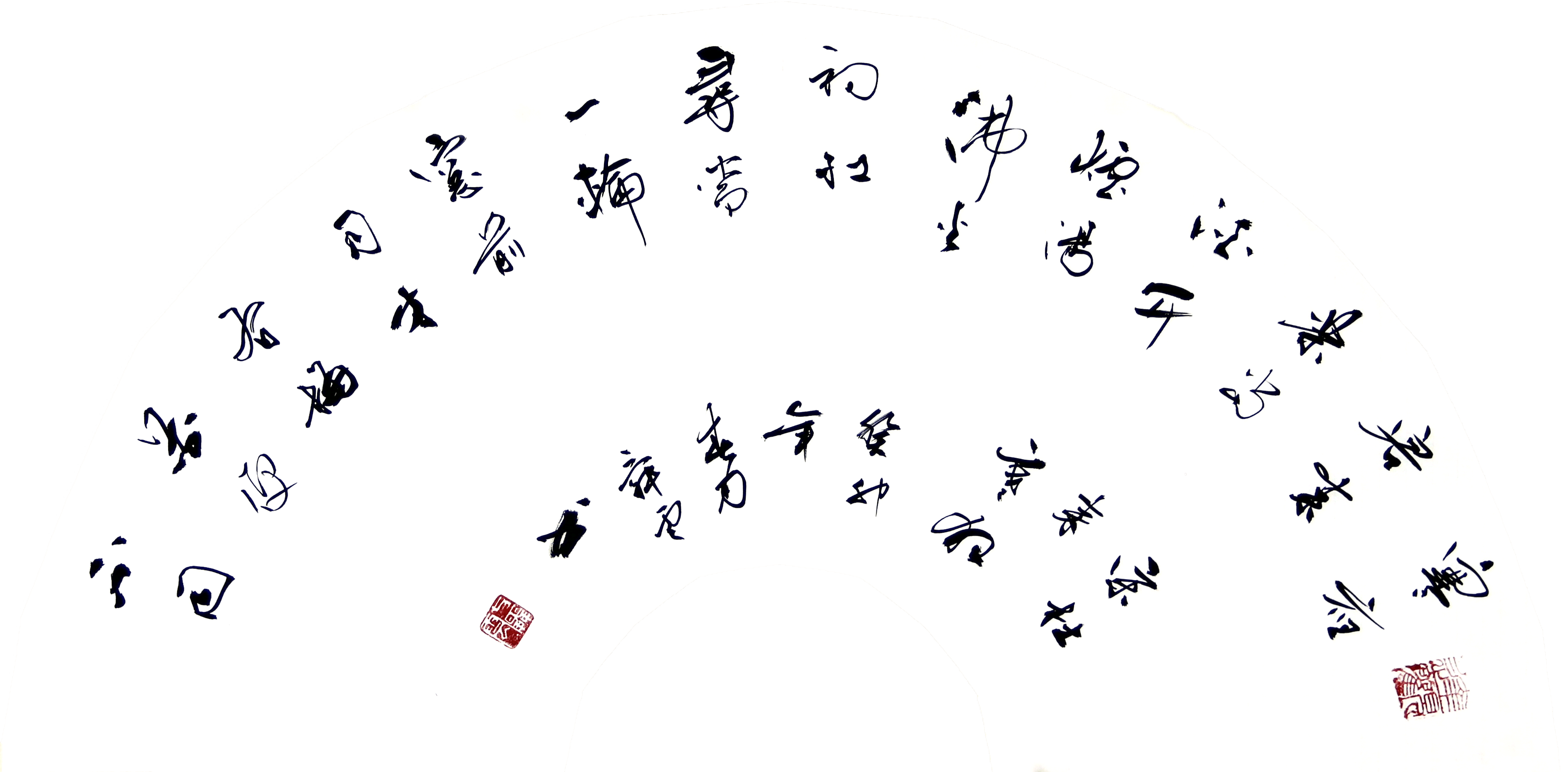 云南著名书法家方舜云_爱好者_昆明人_从艺