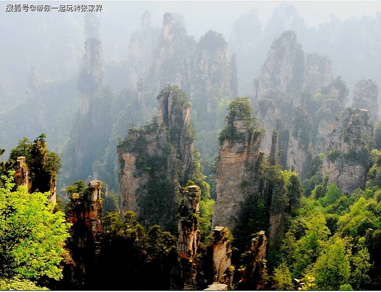 世界那么大我想去看看张家界湘西凤凰古城我来了_旅游_天门_自然性