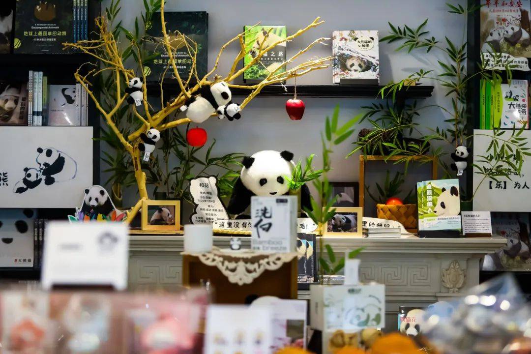 既是一间宝藏书店,也是一种生活方式,熊猫文创款式既有颜值也有奇趣