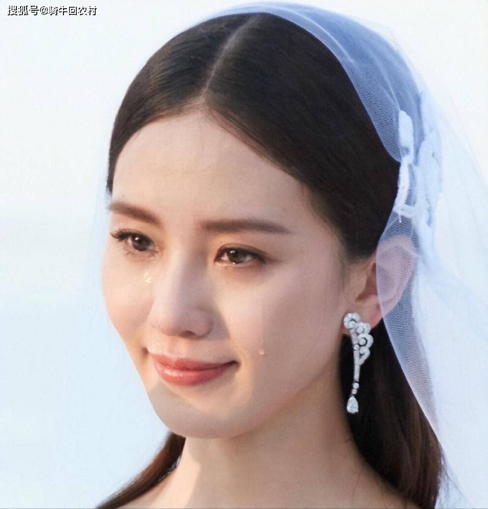 清纯玉女刘诗诗现形记:表面人如淡菊,实则内心狂野情史多如牛毛