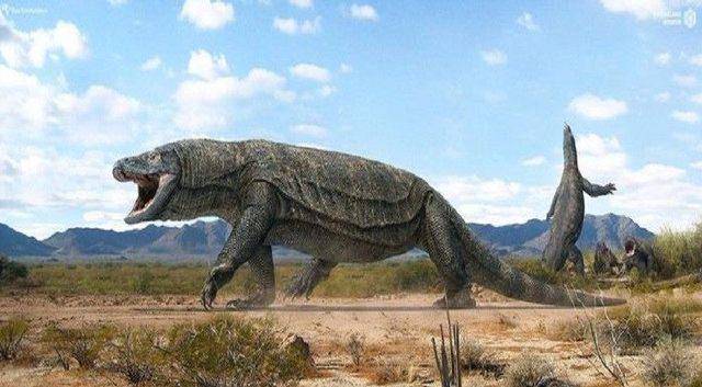 现今科摩多龙巨蜥是地球体型最大的蜥蜴物种,但与它们的祖先相比则相