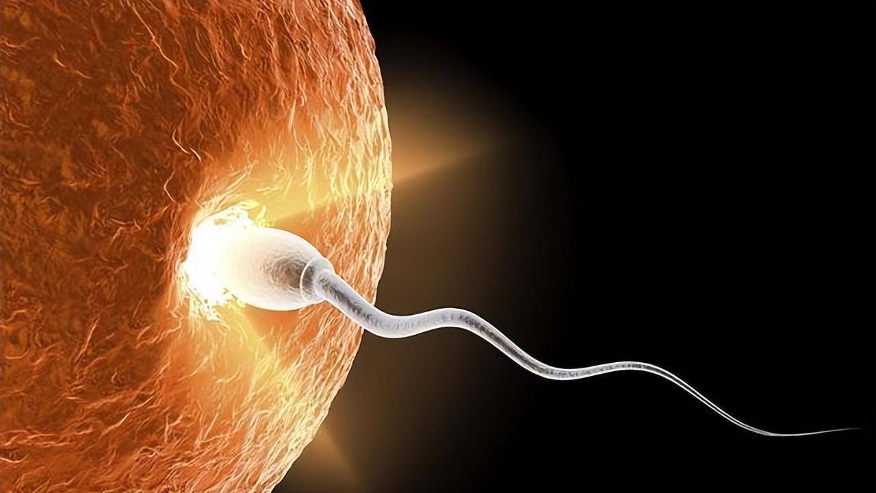 失重状态下的繁衍问题还需要考虑孕育过程中的风险和挑战.