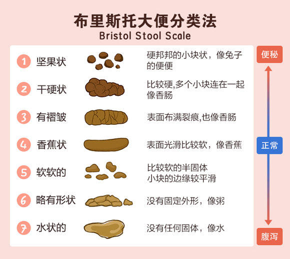 便便的7种形态，看出你的健康状况_大便_肠道_问题