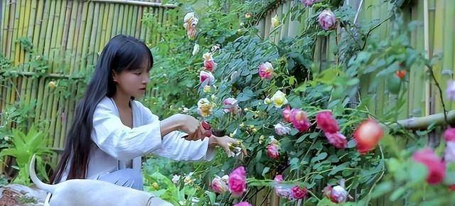 时隔一年,重看"李子柒"的庭院,才发现,那里仍是"人间仙境"_生活_镜头