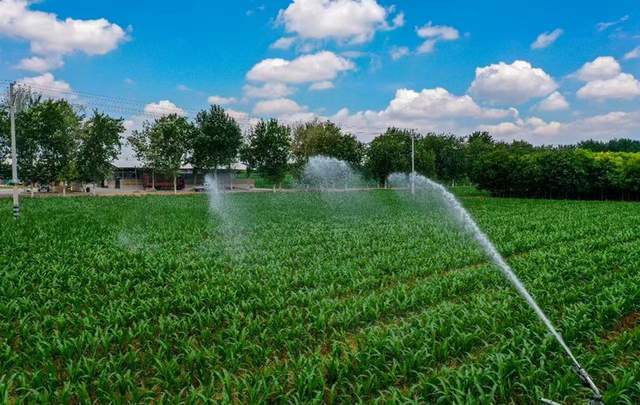 这个家庭农场又新购回2台jp75一300型卷盘式喷灌机,加快2400亩玉米