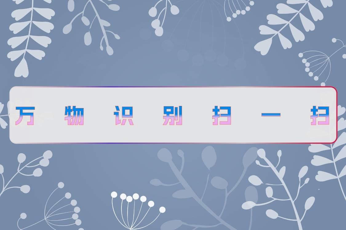 遇到不认识的东西别担心,使用万物识别扫一扫_扫描_物体_物品