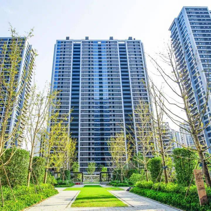 临安_生活节奏_中央