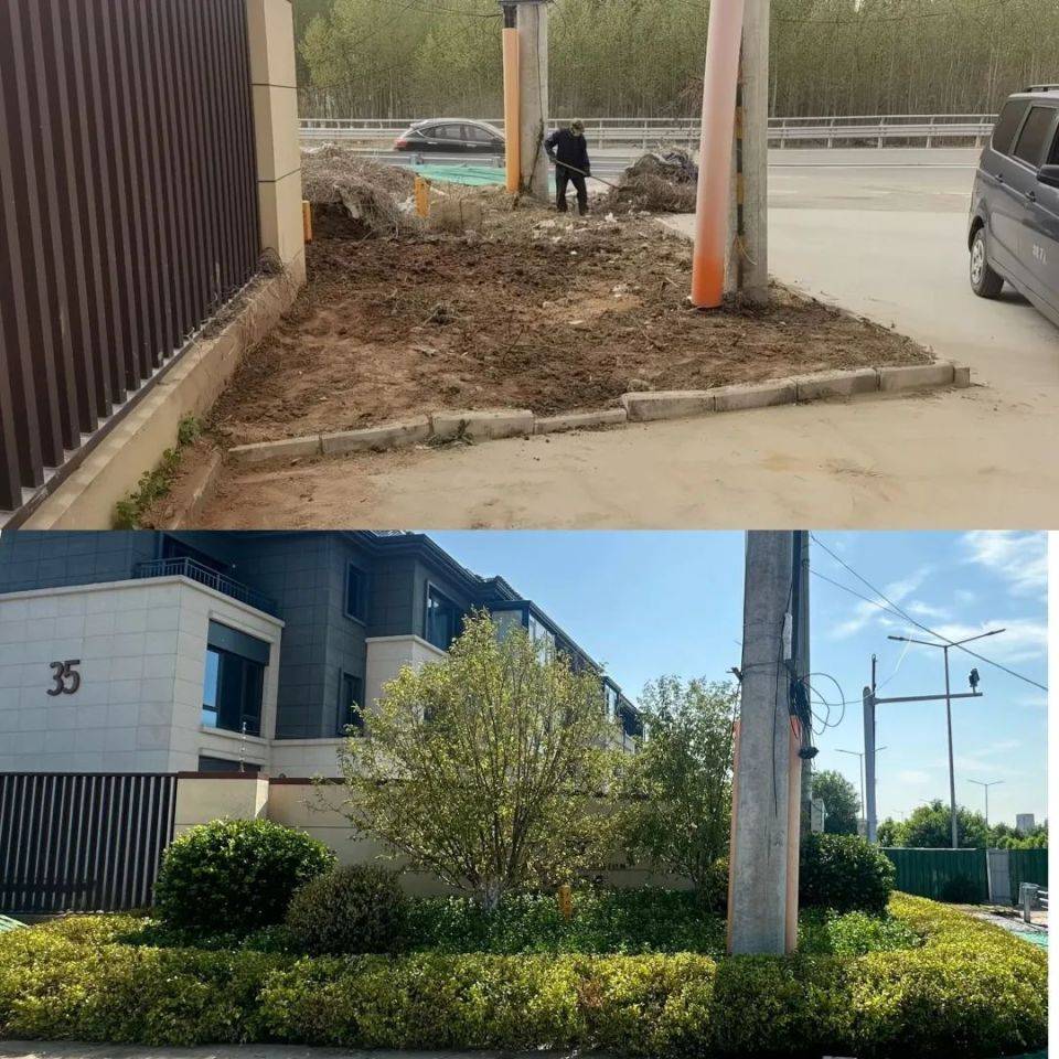 践行“温暖 让美好发生”，金辉物业焕新行动进行时