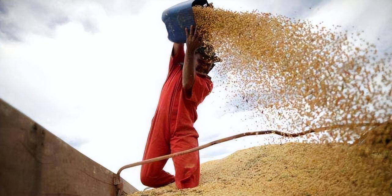 揭秘美国粮食霸权:世界粮食危机,美国如何通过粮食控制全世界?