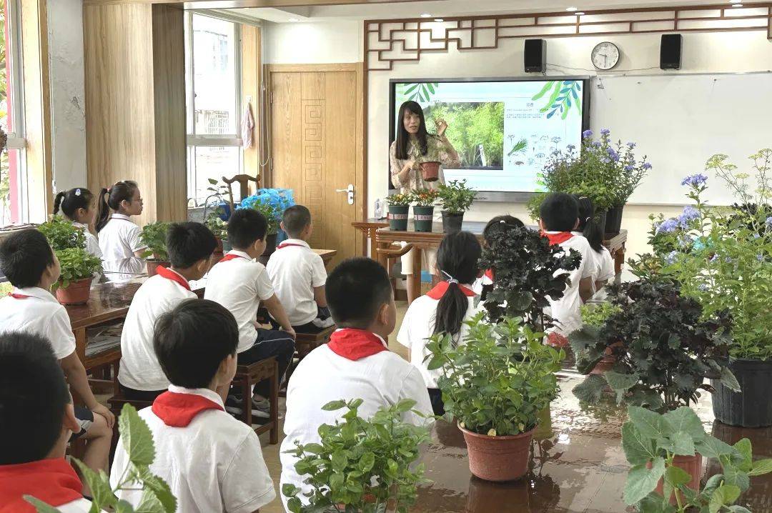 同时,老师还向同学们介绍了康健特色的"小小林长"队伍,同学们纷纷表