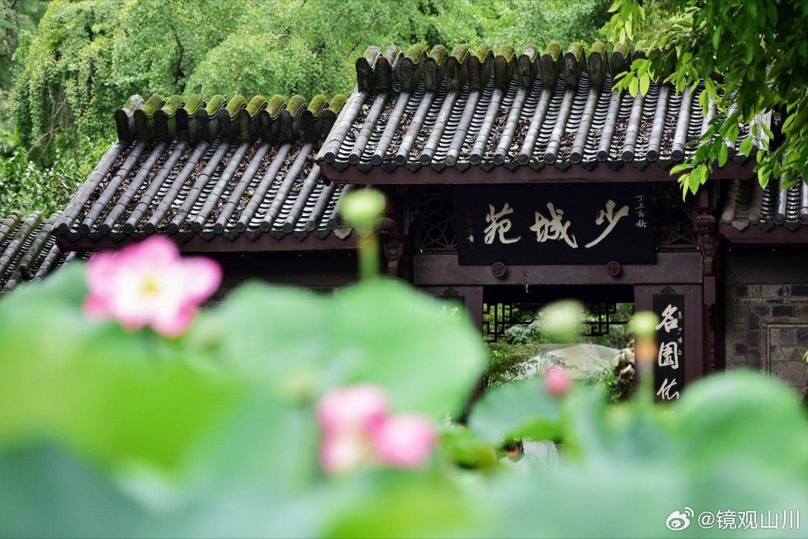 荷力蓉耀 少城偶遇夏雨荷_公园_成都_荷花