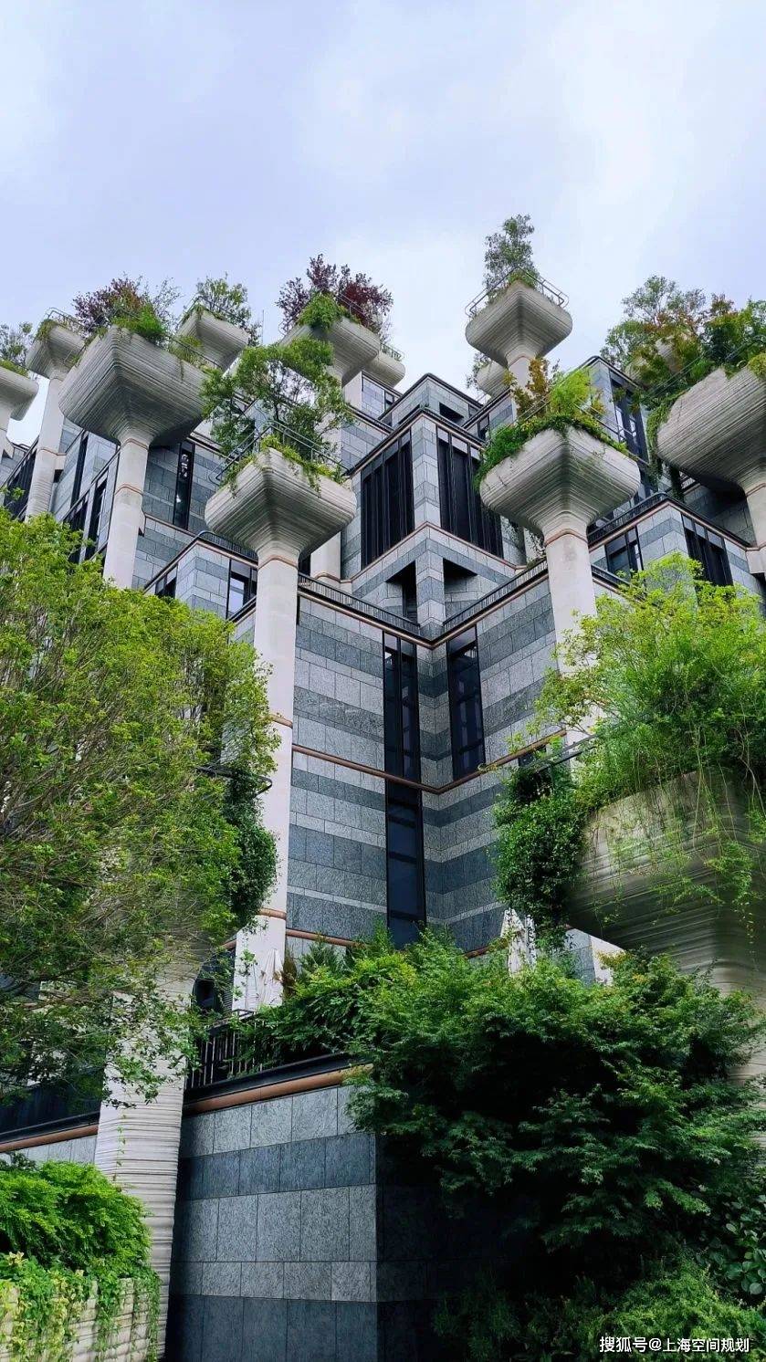 上海又一"空中花园"落地,立体绿化如何助力"花园城市"?