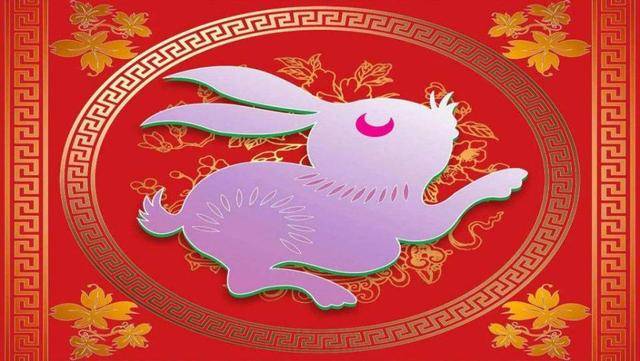传统文化|十二生肖之卯兔_兔子_白兔_玉兔