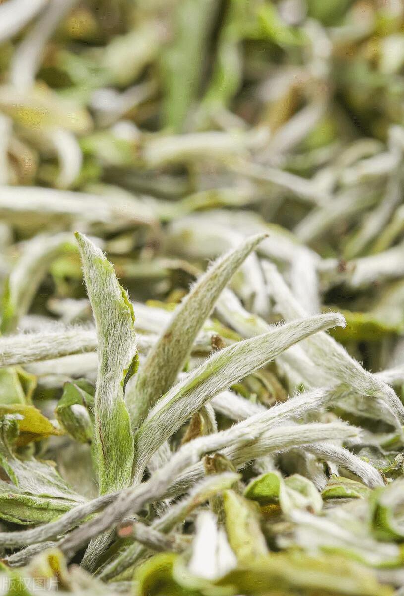 【水仙白茶】与 【福鼎白茶】的区别:_福建_建阳市_滋味