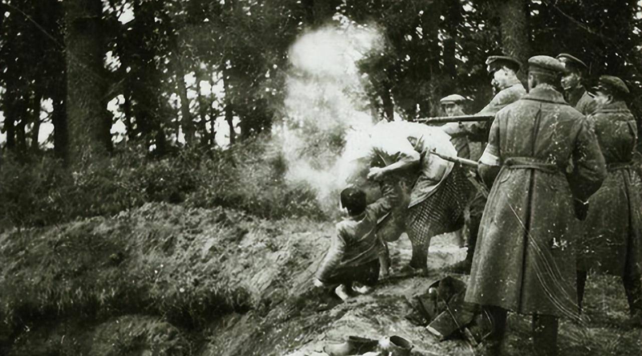 沃伦大惨案:二战期间乌克兰民族主义者报复性屠杀波兰超10万人_利沃夫