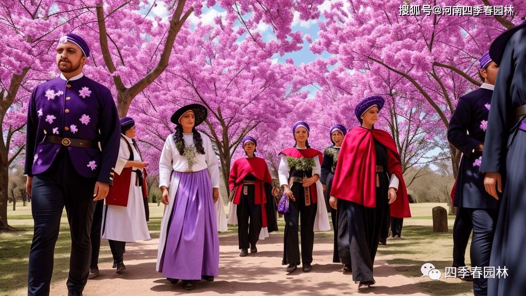 这是苗圃中的实景四季春1号紫荆大道,紫荆树开满鲜艳的花朵.