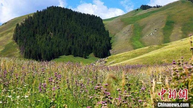 新疆吉木萨尔县花儿沟宛如空中花园风景秀丽
